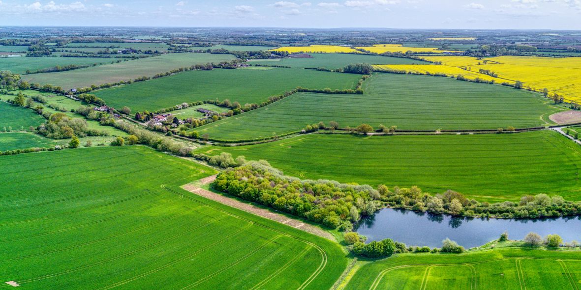 Agriculture and estates